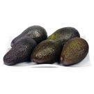 AGUACATE HASS